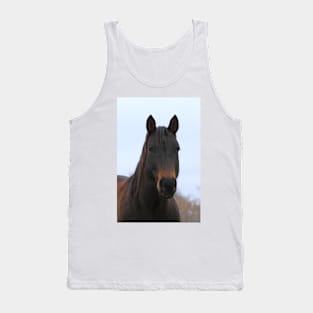 Colorful Horse with blue sky Tank Top